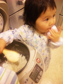 3.お米大好きひよちゃんのつまみ食い