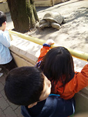 ひよちゃんを抱っこして亀さん見学
