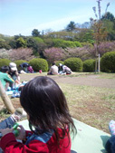 お花見@神奈川県立三つ池公園