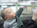 電車に興奮