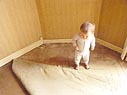 今、こんな状態