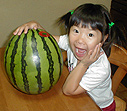 大きなスイカにチッチ大喜び (でもスイカは嫌いらしく食べない) 大きなスイカにチッチ大喜び (でもスイカは嫌いらしく食べない)