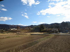 田んぼ