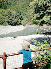 道志川の清流