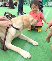 みーちゃん、犬のふれあいイベントへ