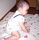 動き回る…回る 動き回る…回る