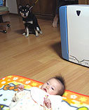 あんにんmeetsミン あんにんmeetsミン