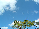 千代乃ちゃんの産まれた日の空 千代乃ちゃんの産まれた日の空