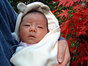 �uῂ��񂾂悧�v�g�t�̖T��ɂāB