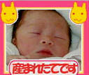 �S�R�Ⴄ�[