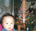 shopではクリスマスツリーを見て遊んでいました shopではクリスマスツリーを見て遊んでいました